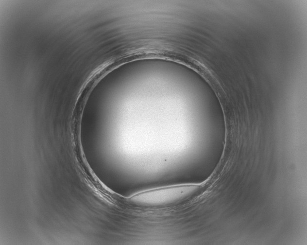 X0000056321026200508260845