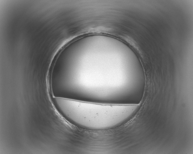 X0000056321032200508260845