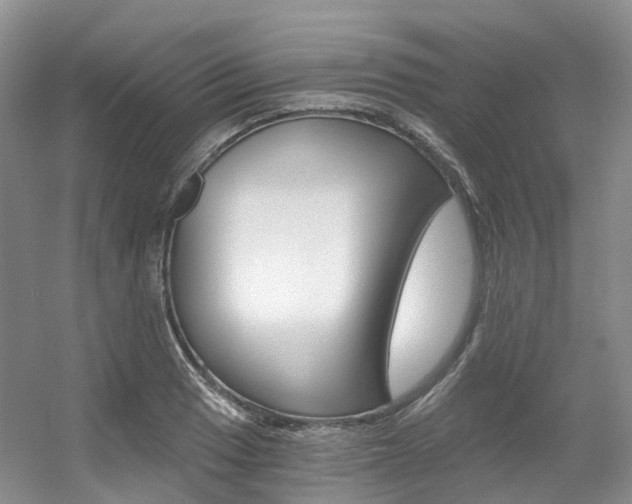 X0000056321033200508260845