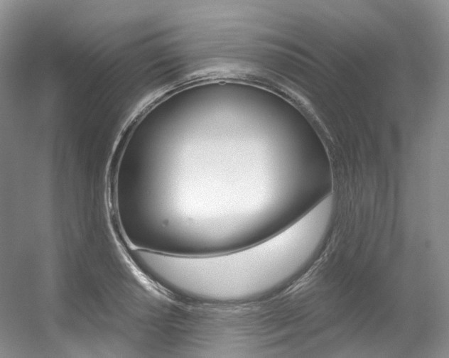 X0000056321034200508260845