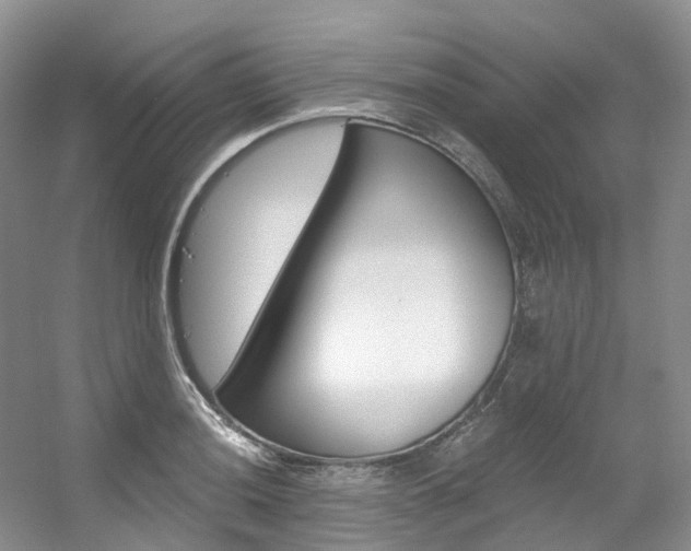 X0000056321036200508260845