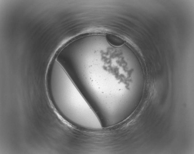 X0000056321037200508260846