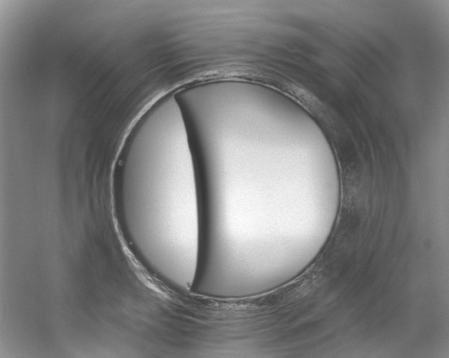 X0000056321039200508260846