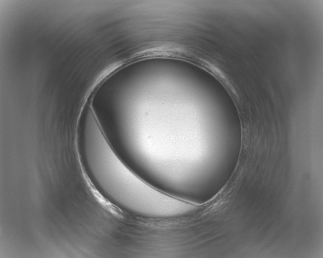 X0000056321042200508260846