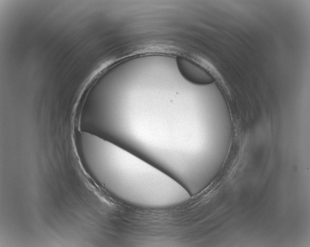 X0000056321043200508260846