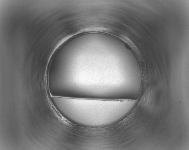 X0000056321044200508260846