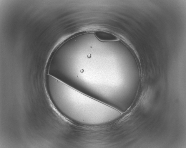 X0000056321045200508260846
