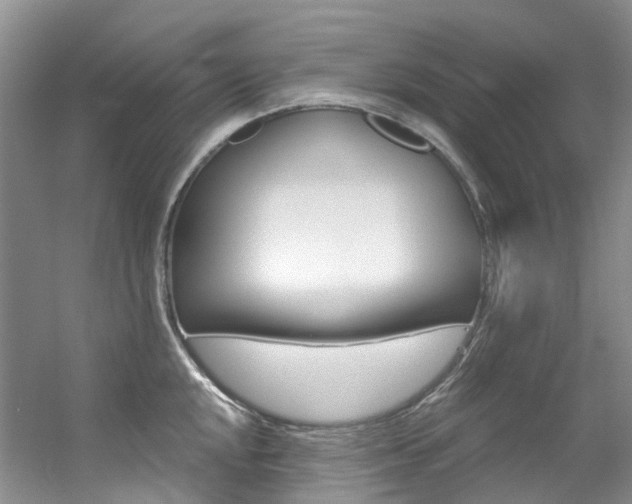 X0000056321048200508260846