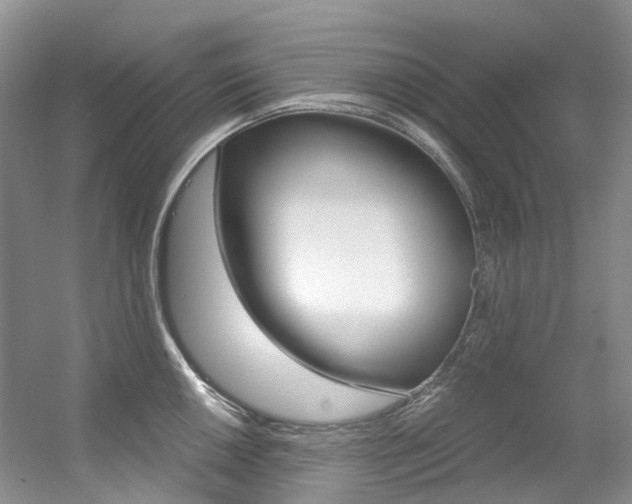 X0000056321050200508260846