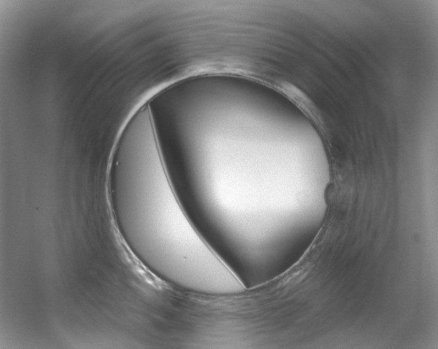 X0000056321052200508260846