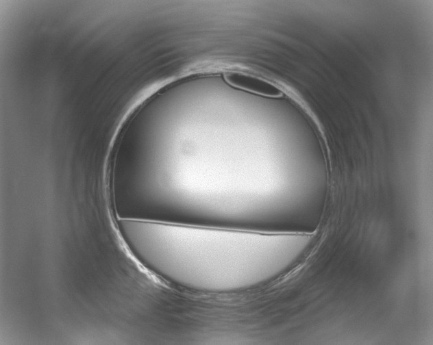 X0000056321053200508260846