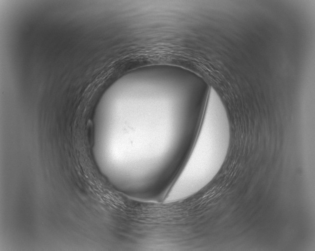X0000056321057200508260845