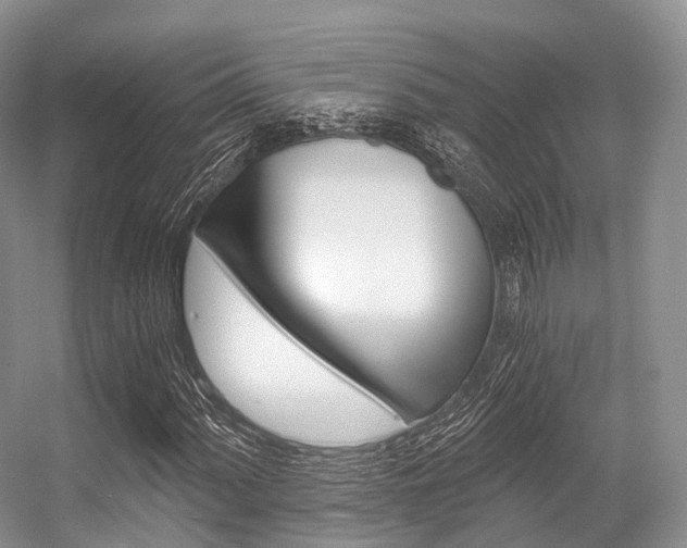 X0000056321060200508260845