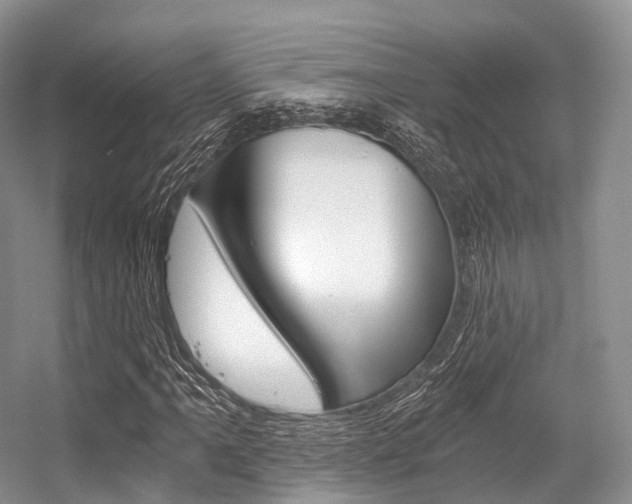 X0000056321061200508260845