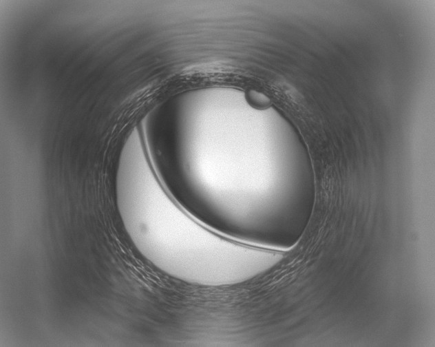 X0000056321062200508260845