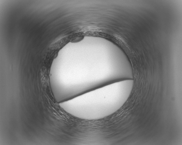 X0000056321063200508260845