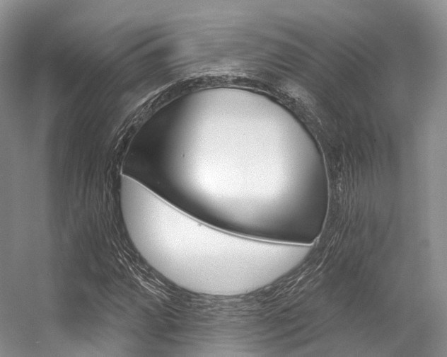 X0000056321064200508260845
