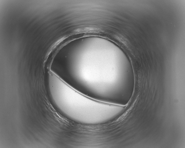X0000056321066200508260845