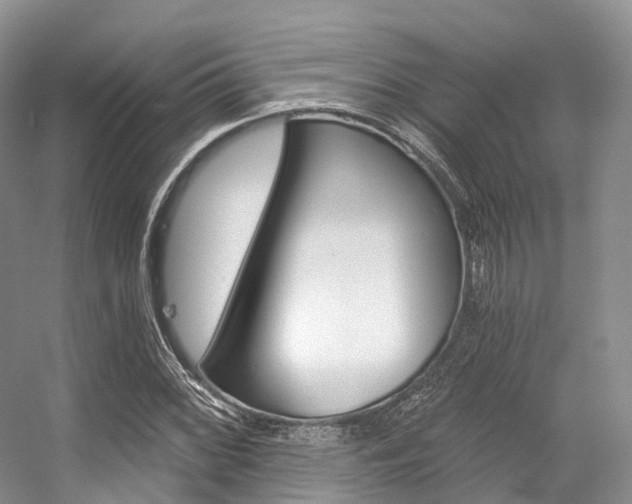 X0000056321068200508260845