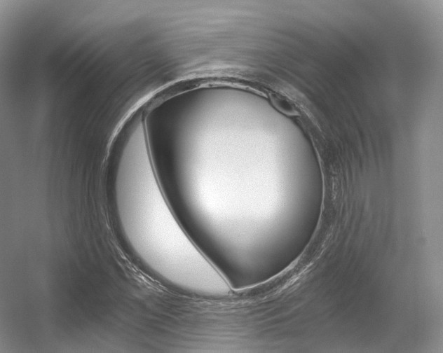 X0000056321069200508260845