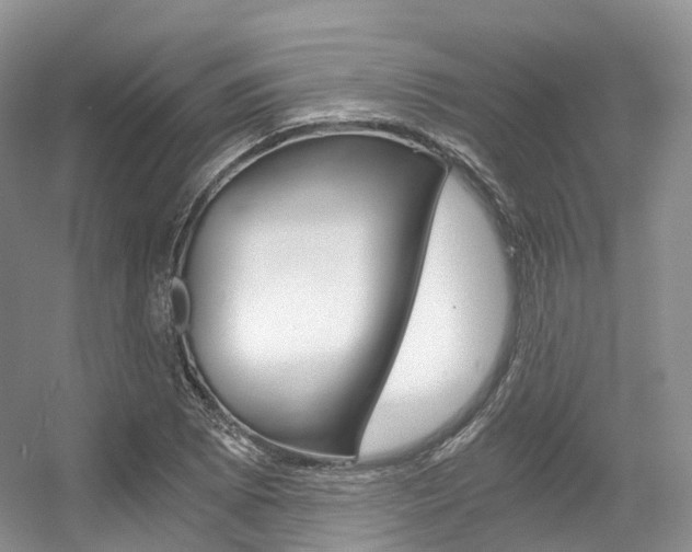 X0000056321073200508260845