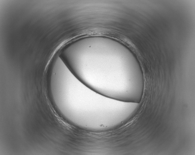 X0000056321075200508260845