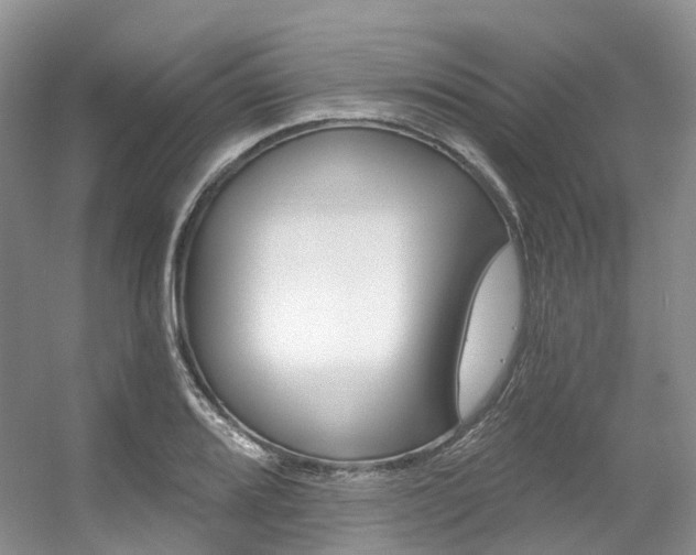 X0000056321080200508260845