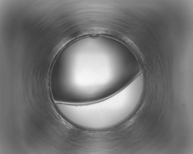 X0000056321081200508260845