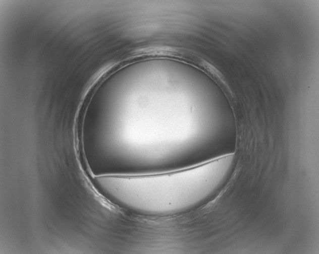 X0000056321082200508260845
