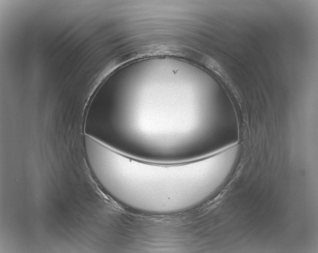 X0000056321089200508260844