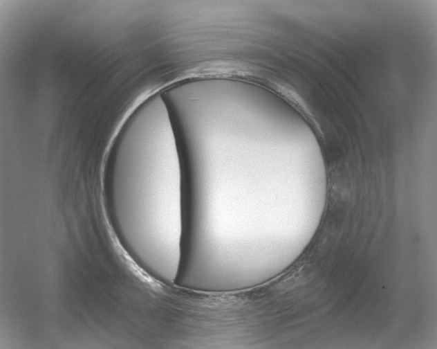 X0000056321091200508260844