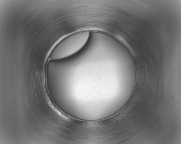 X0000056321092200508260844