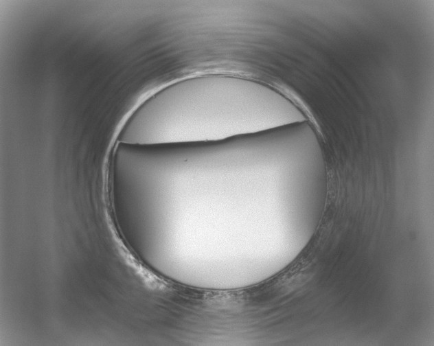 X0000056321099200508260844