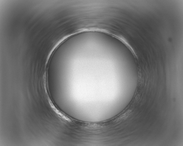 X0000056321100200508260844