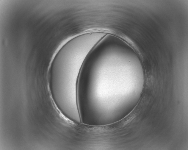 X0000056321102200508260844