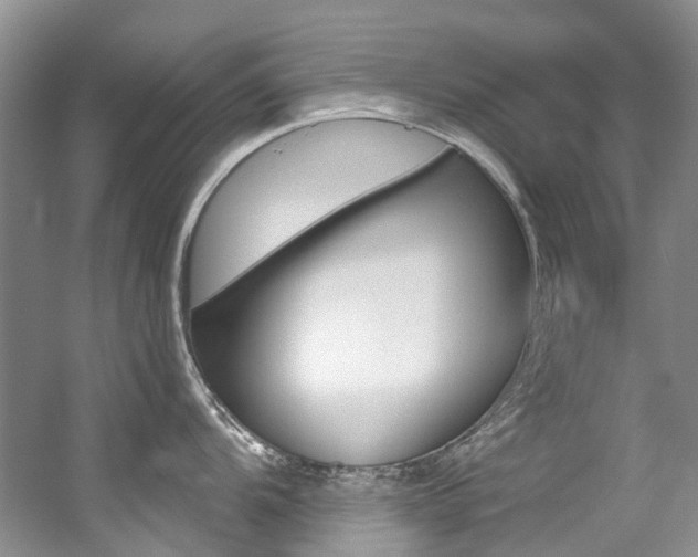 X0000056321104200508260844