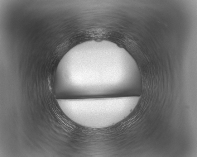 X0000056321106200508260843