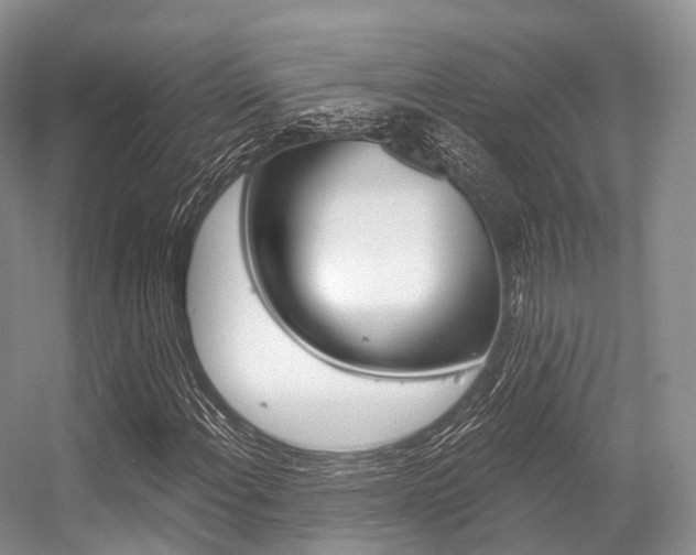 X0000056321108200508260843
