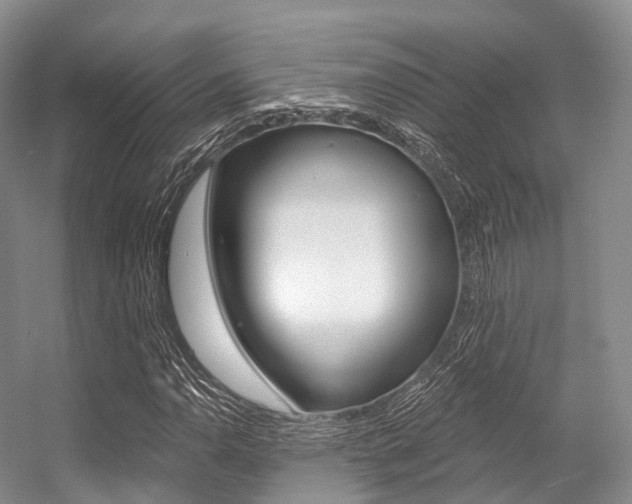 X0000056321110200508260843