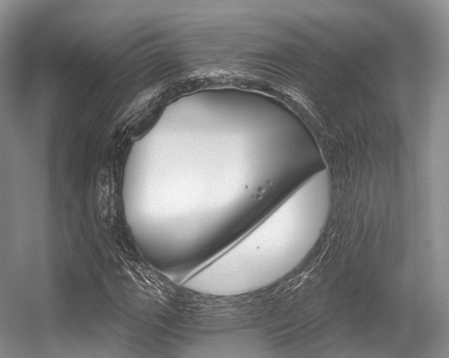 X0000056321111200508260844