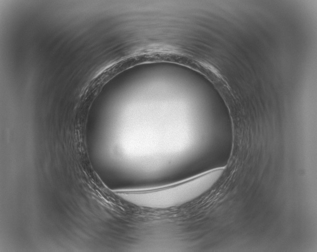 X0000056321112200508260844