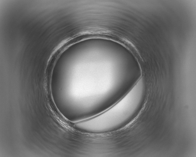 X0000056321114200508260844
