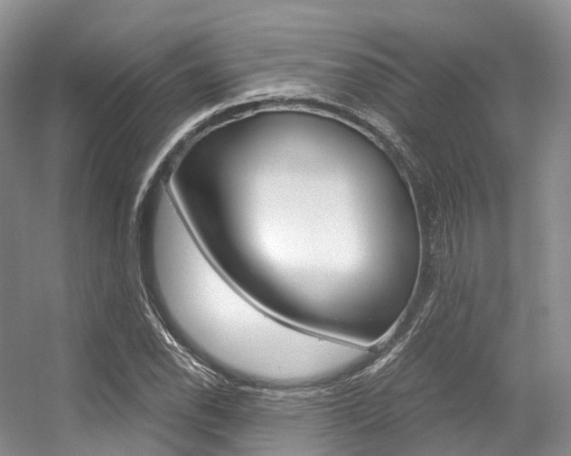 X0000056321118200508260844