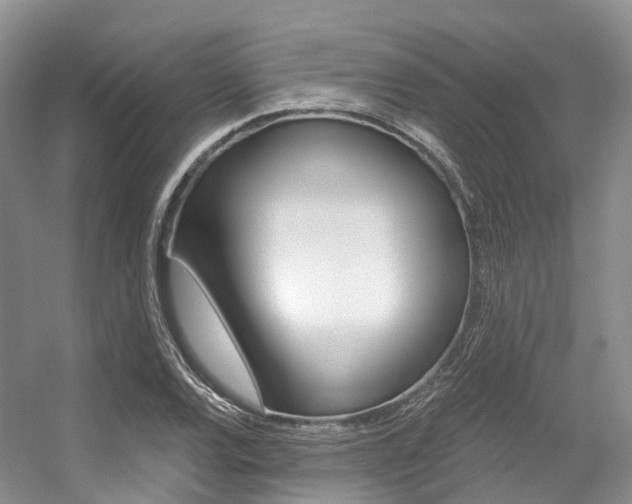 X0000056321120200508260844
