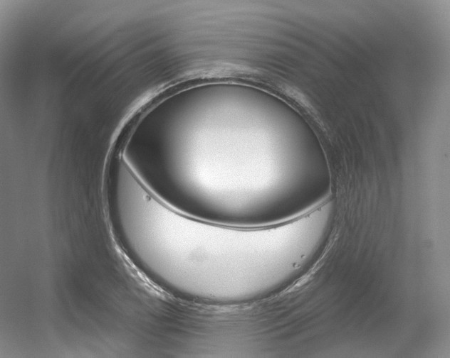 X0000056321122200508260844