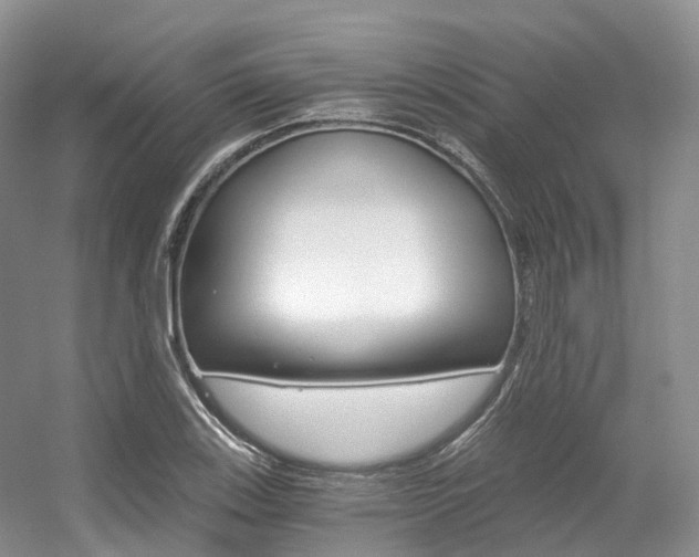 X0000056321123200508260844