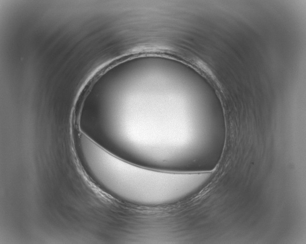 X0000056321124200508260844