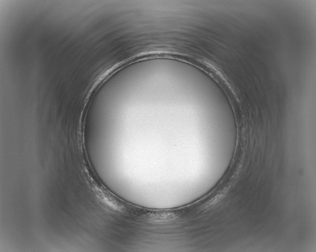 X0000056321129200508260844