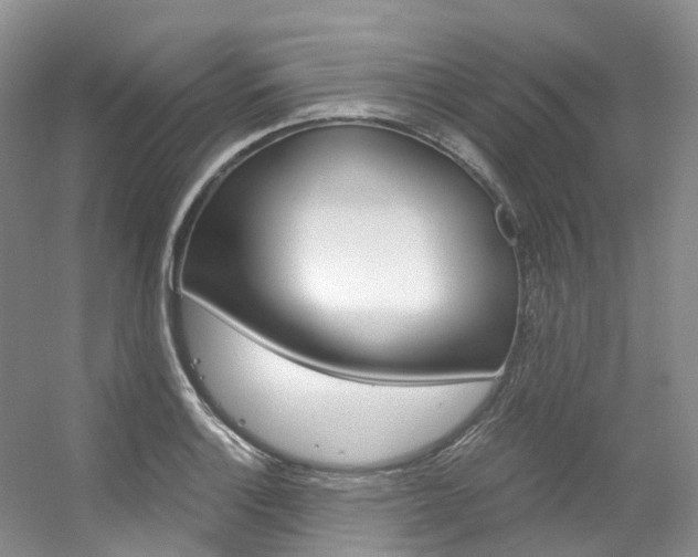 X0000056321132200508260844