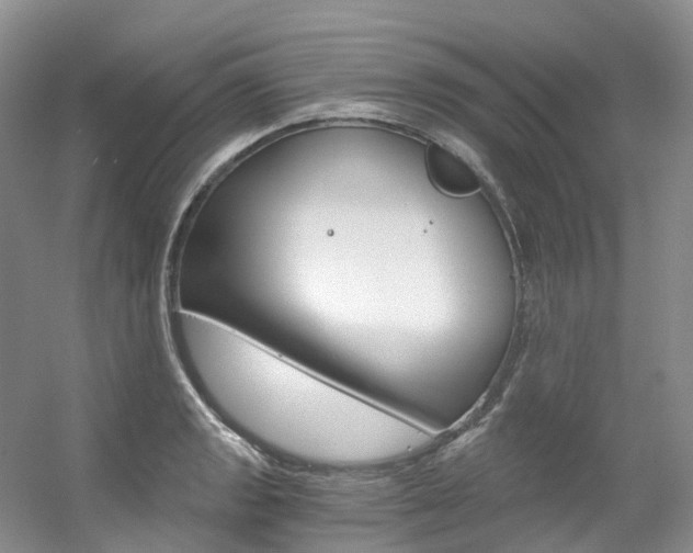X0000056321133200508260844